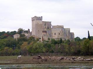 Abbaye de Montmajour Moulin de Daudet