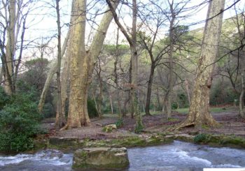 Gémenos – Vallée de St Pons